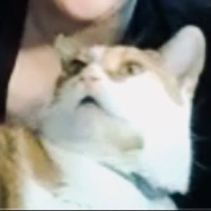 Meet your Posher, Noelle